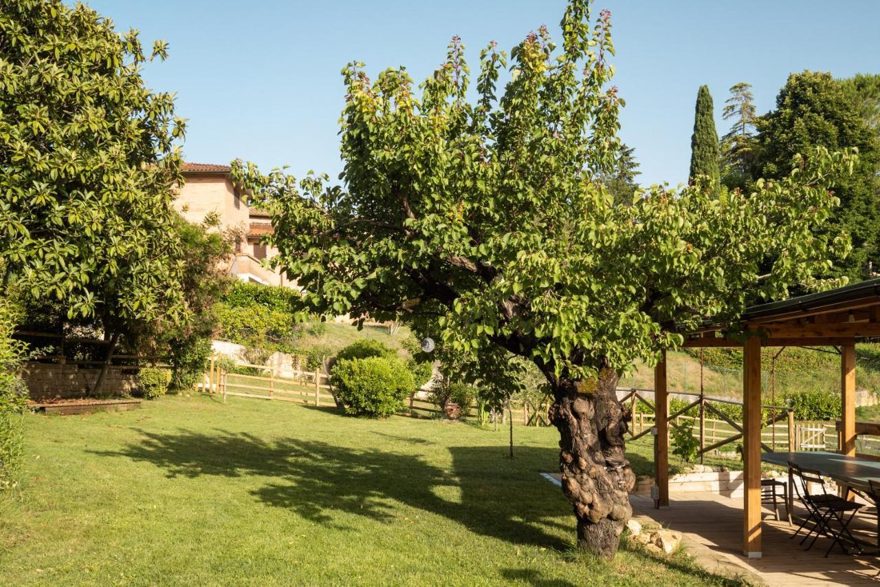 Toscana Da Sogno A Villa Allegria シエーナ エクステリア 写真