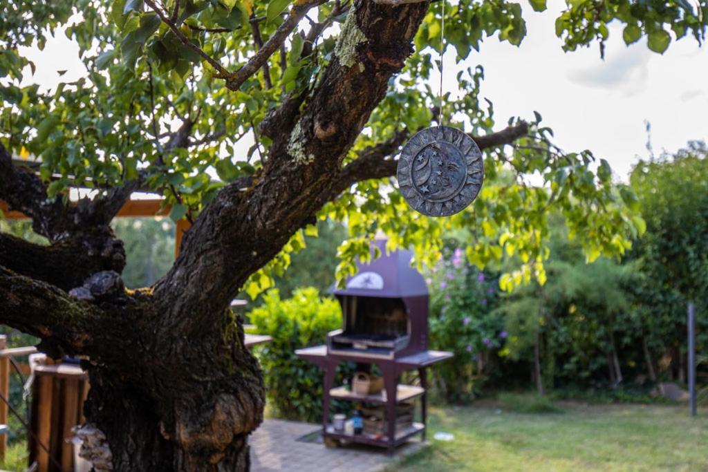 Toscana Da Sogno A Villa Allegria シエーナ エクステリア 写真